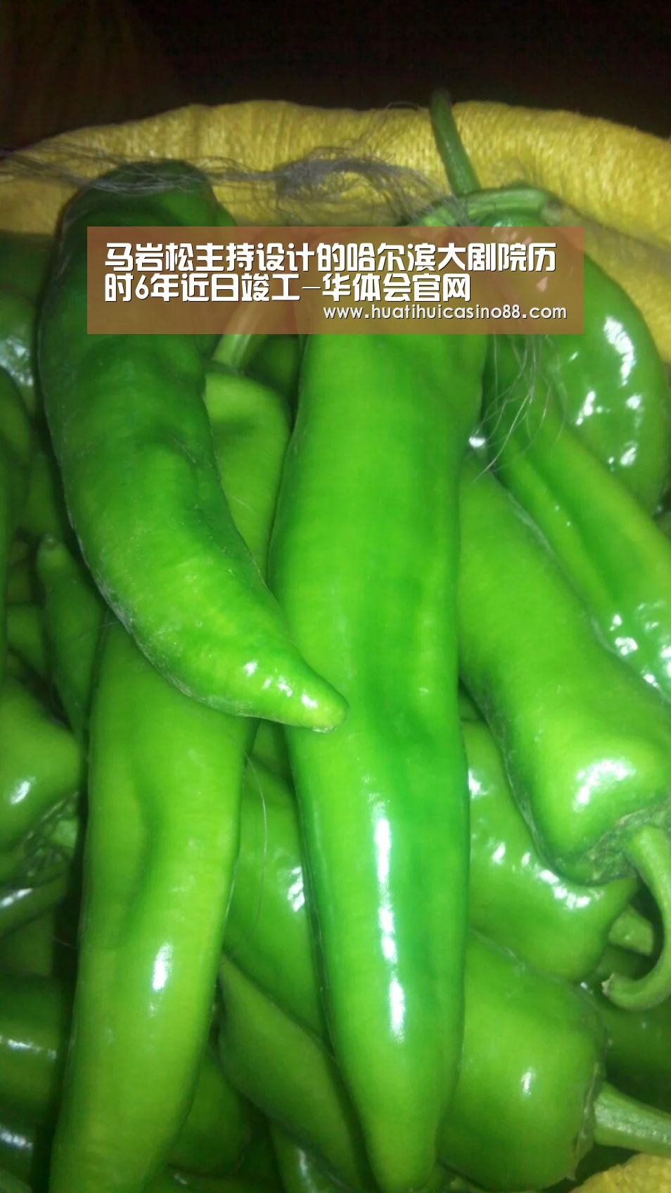 马岩松主持设计的哈尔滨大剧院历时6年近日竣工-华体会官网(图1) 华体会官网