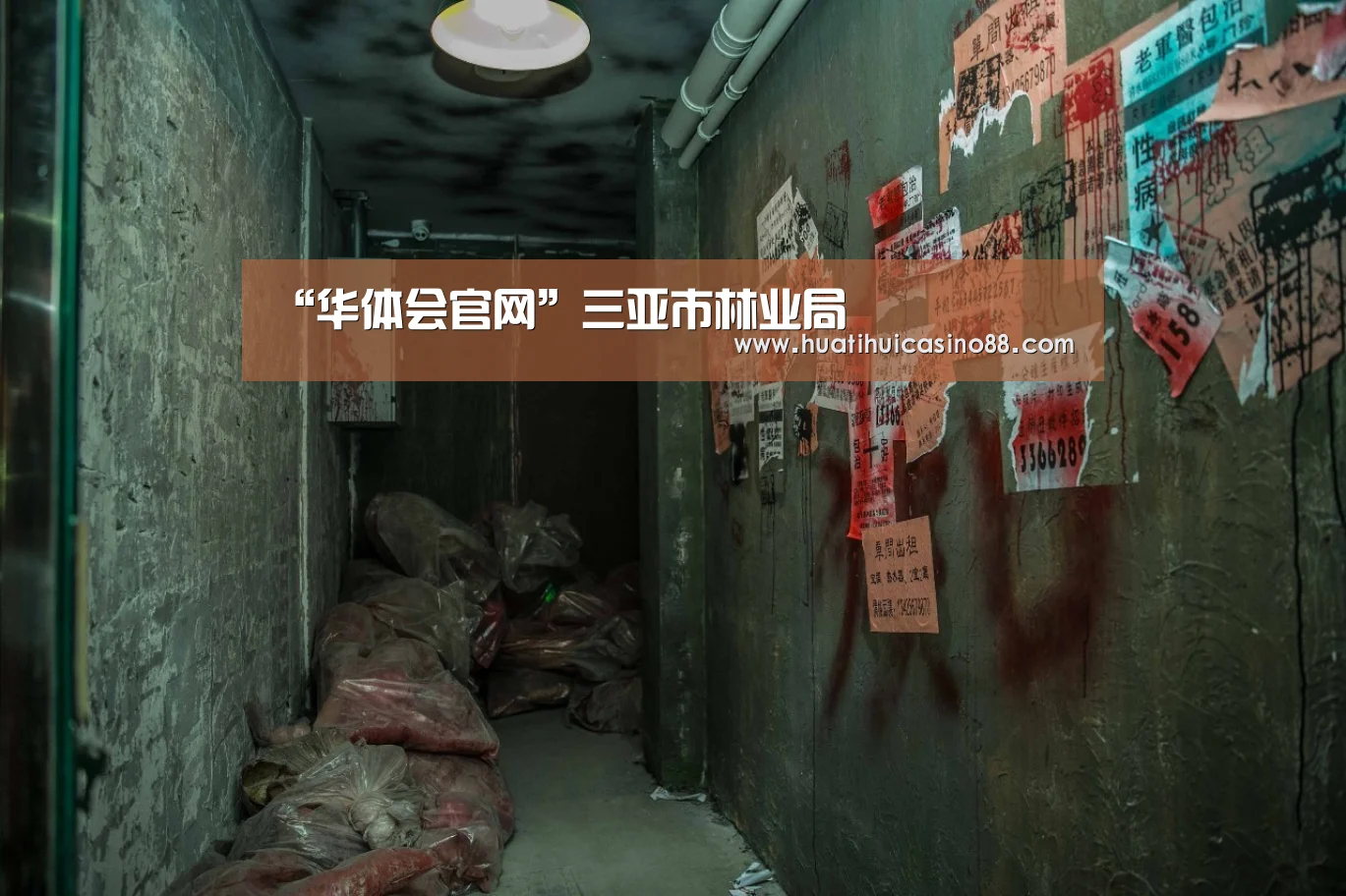 “华体会官网”三亚市林业局(图3) 华体会APP