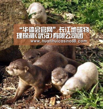 “华体会官网”长江地球物理探测(武汉)有限公司团支部召开“一学一做”组织生活会(图2) 华体会下载